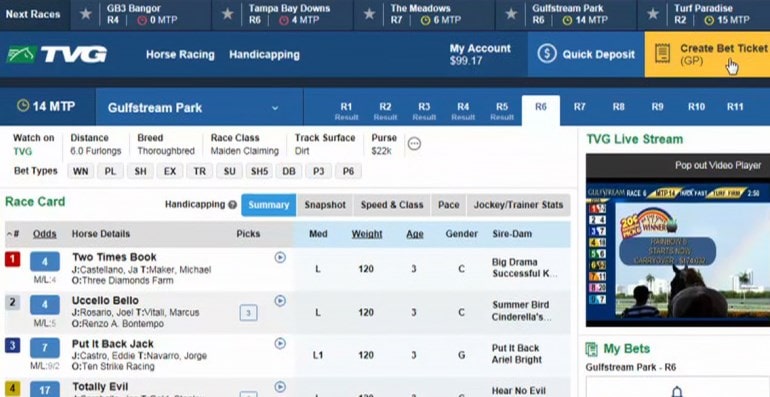 TVG Racebook